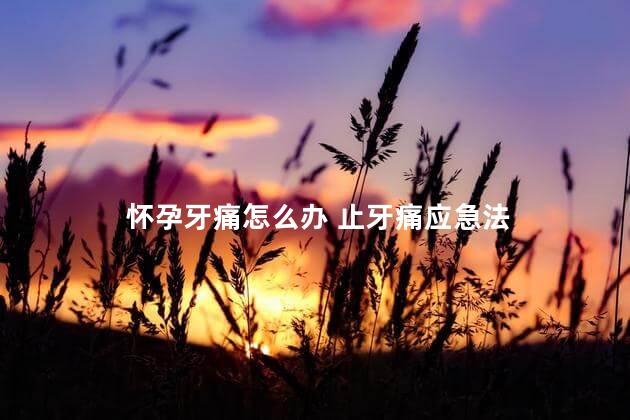 怀孕牙痛怎么办 止牙痛应急法